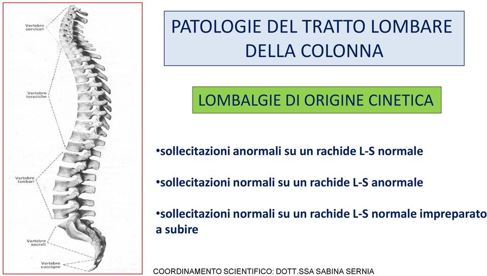 su un rachide L-S anormale sollecitazioni normali su un rachide L-S