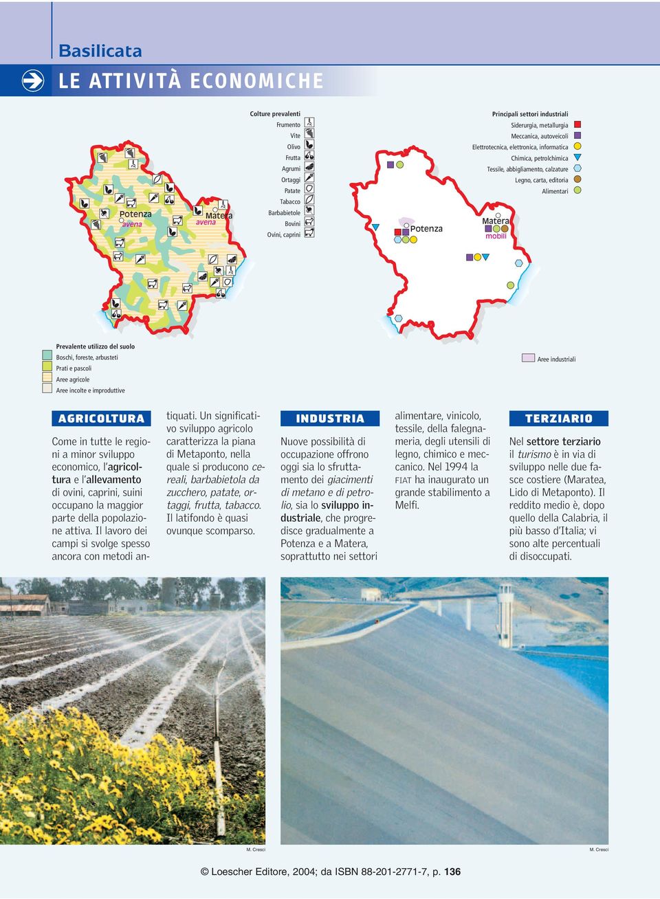 Prevalente utilizzo del suolo Boschi, foreste, arbusteti Prati e pascoli Aree agricole Aree incolte e improduttive Aree industriali AGRICOLTURA Come in tutte le regioni a minor sviluppo economico, l