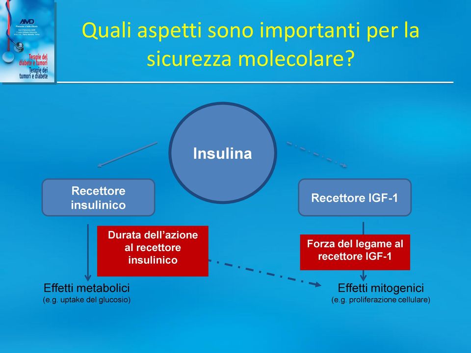 uptake del glucosio) Durata dell azione al recettore insulinico Forza