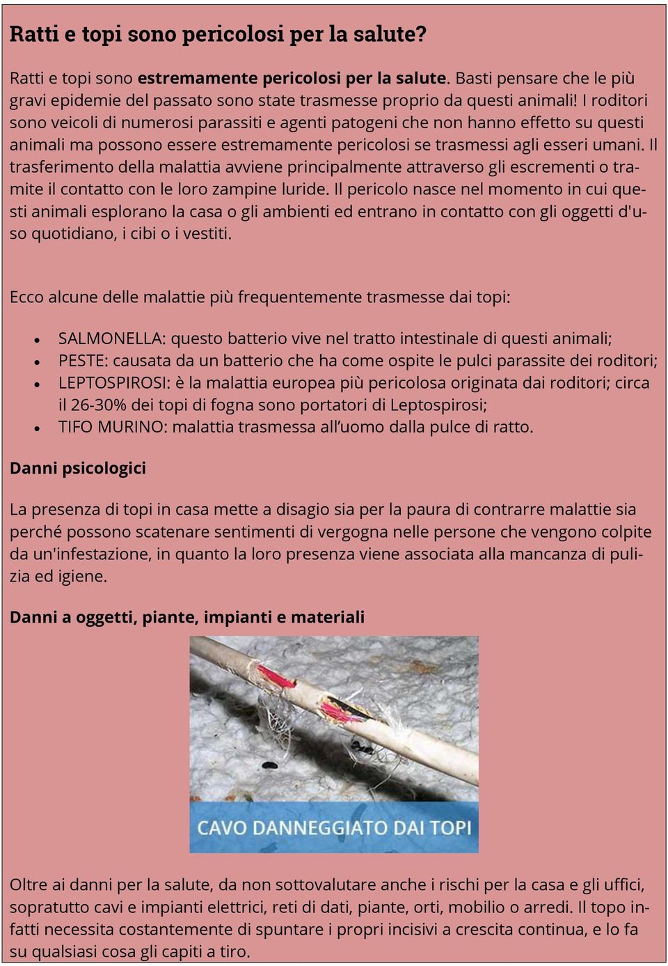 Il trasferimento della malattia avviene principalmente attraverso gli escrementi o tramite il contatto con le loro zampine luride.