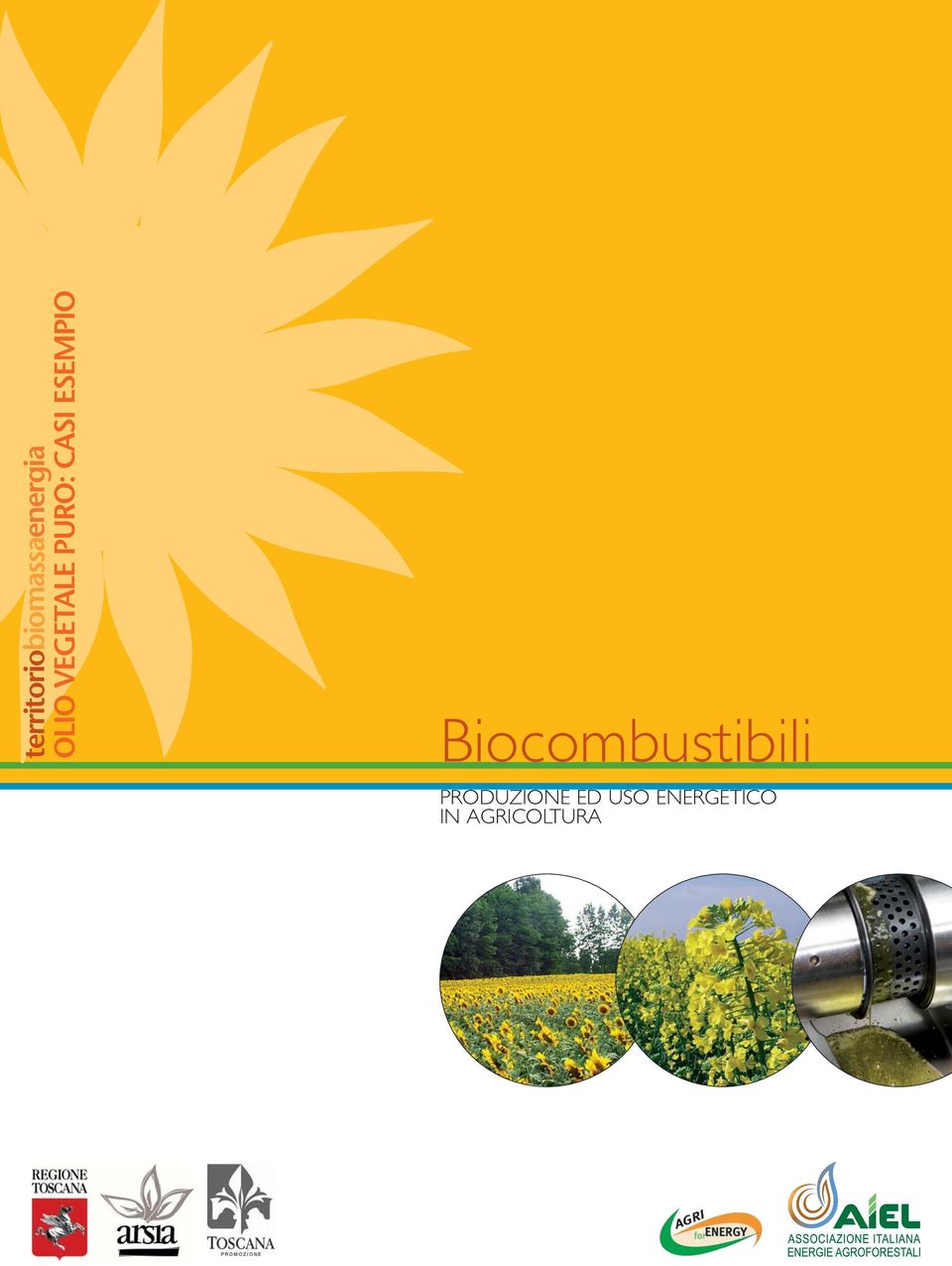 ESEMPIO Biocombustibili