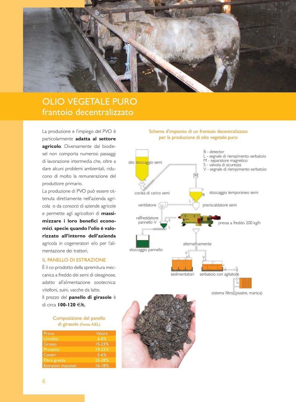 La produzione di PVO può essere ottenuta direttamente nell azienda agricola o da consorzi di aziende agricole e permette agli agricoltori di massimizzare i loro benefici economici, specie quando l