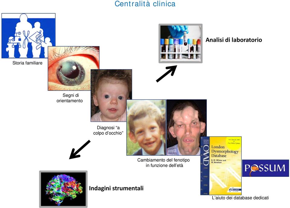 occhio Cambiamento del fenotipo in funzione dell