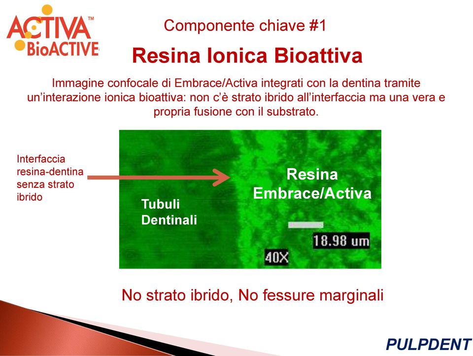 all interfaccia ma una vera e propria fusione con il substrato.