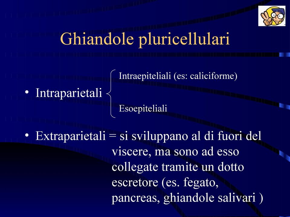 al di fuori del viscere, ma sono ad esso collegate tramite