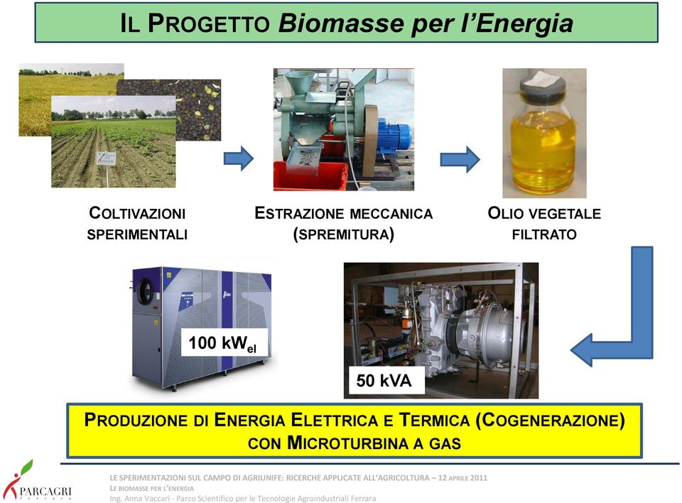 VEGETALE FILTRATO 100 kw el 50 kva PRODUZIONE DI