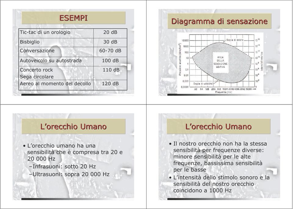 20 000 Hz Infrasuoni: sotto 20 Hz Ultrasuoni: sopra 20 000 Hz Il nostro orecchio non ha la stessa sensibilità per frequenze diverse: minore