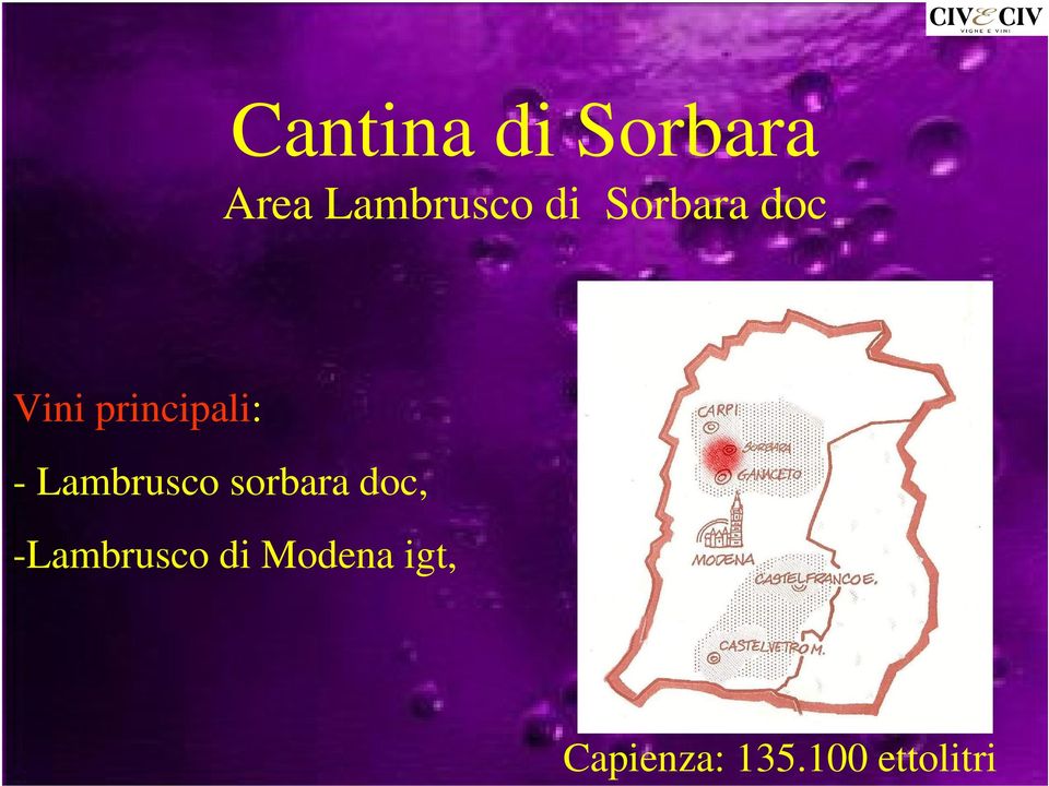 Lambrusco sorbara doc, -Lambrusco