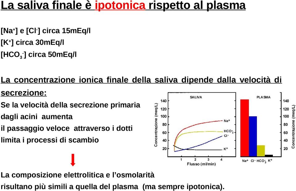 della secrezione primaria dagli acini aumenta il passaggio veloce attraverso i dotti limita i processi di