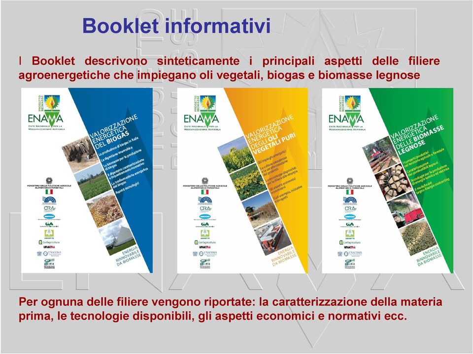 legnose Per ognuna delle filiere vengono riportate: la caratterizzazione