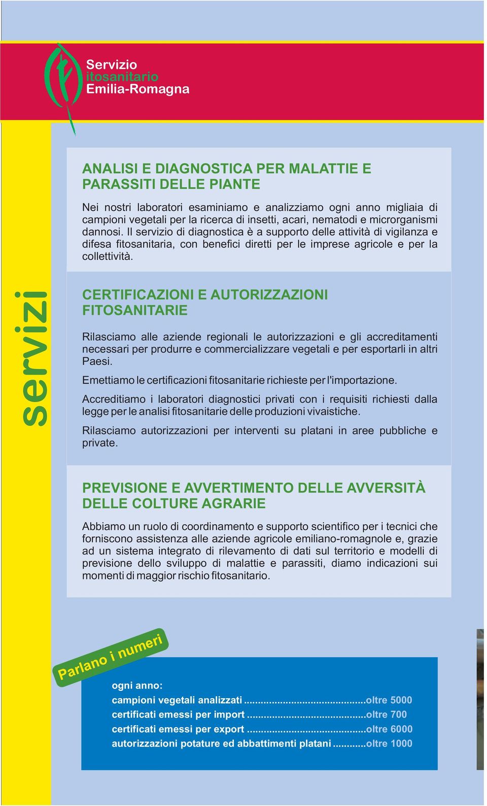 Il servizio di diagnostica è a supporto delle attività di vigilanza e difesa fitosanitaria, con benefici diretti le imprese agricole e la collettività.