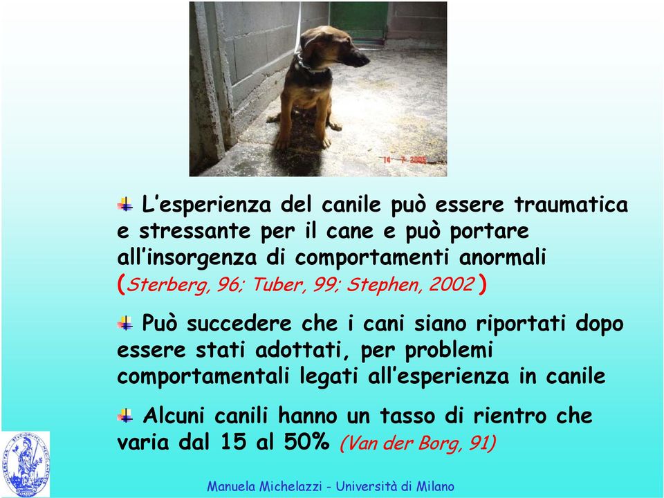 che i cani siano riportati dopo essere stati adottati, per problemi comportamentali legati all