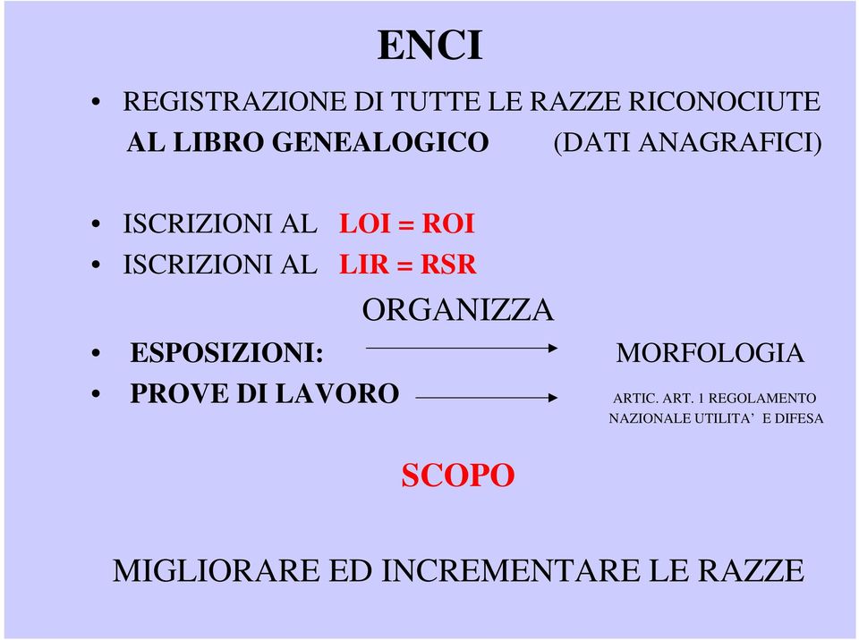 ORGANIZZA ESPOSIZIONI: MORFOLOGIA PROVE DI LAVORO ARTI