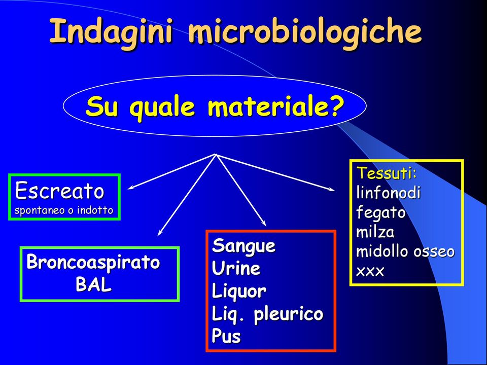 BAL Sangue Urine Liquor Liq.