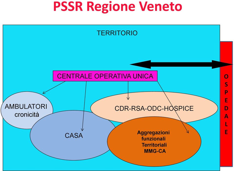 UNICA CASA CDR-RSA-ODC-HOSPICE