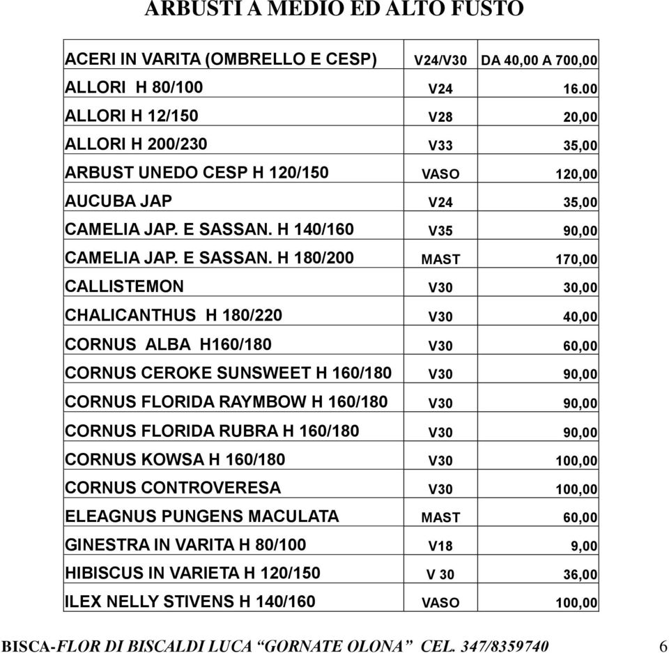 H 140/160 V35 90,00 CAMELIA JAP. E SASSAN.