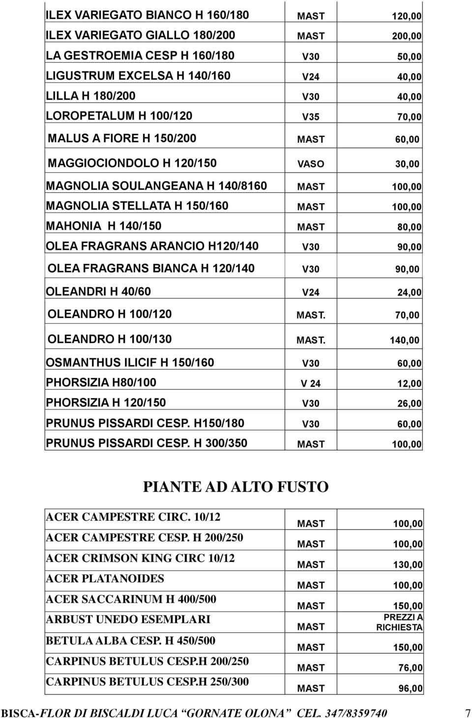 FRAGRANS ARANCIO H120/140 V30 90,00 OLEA FRAGRANS BIANCA H 120/140 V30 90,00 OLEANDRI H 40/60 V24 24,00 OLEANDRO H 100/120 MAST. 70,00 OLEANDRO H 100/130 MAST.