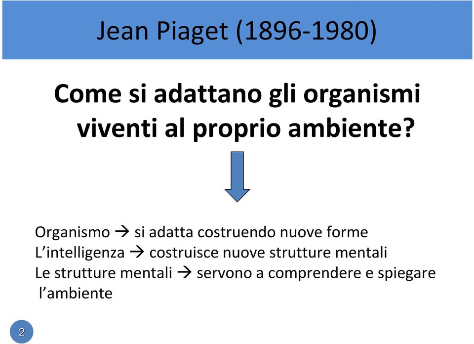 Organismo si adatta costruendo nuove forme L intelligenza