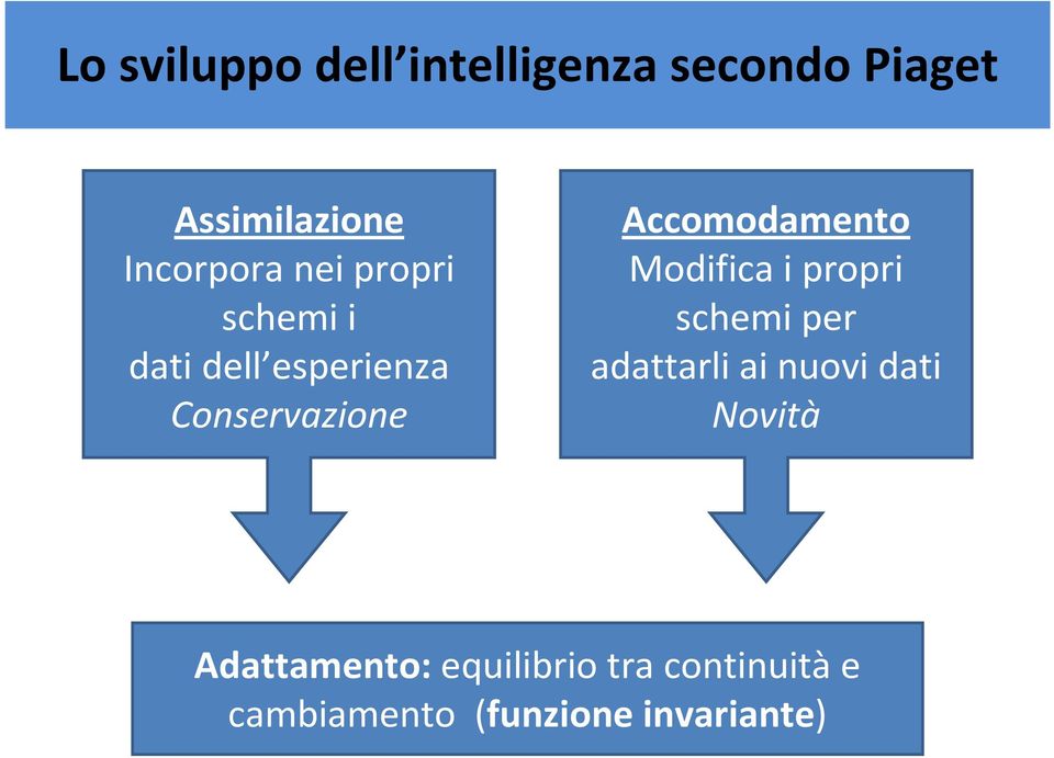 Accomodamento Modifica i propri schemi per adattarli ai nuovi dati