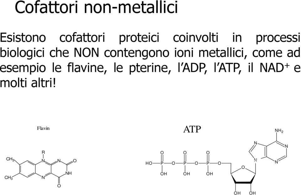 le flavine, le pterine, l ADP, l ATP, il NAD + e molti altri!