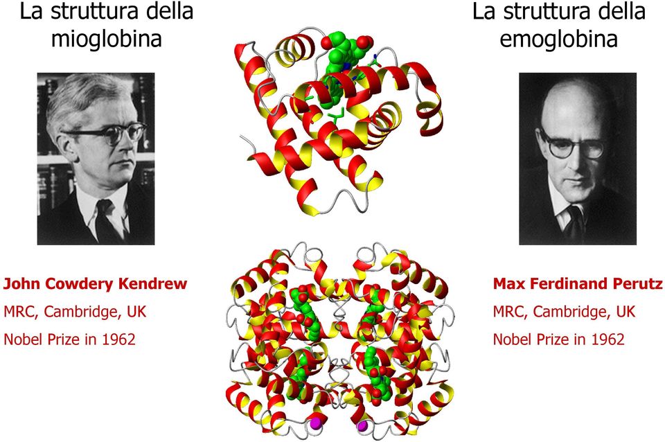 Cambridge, UK Nobel Prize in 1962 Max