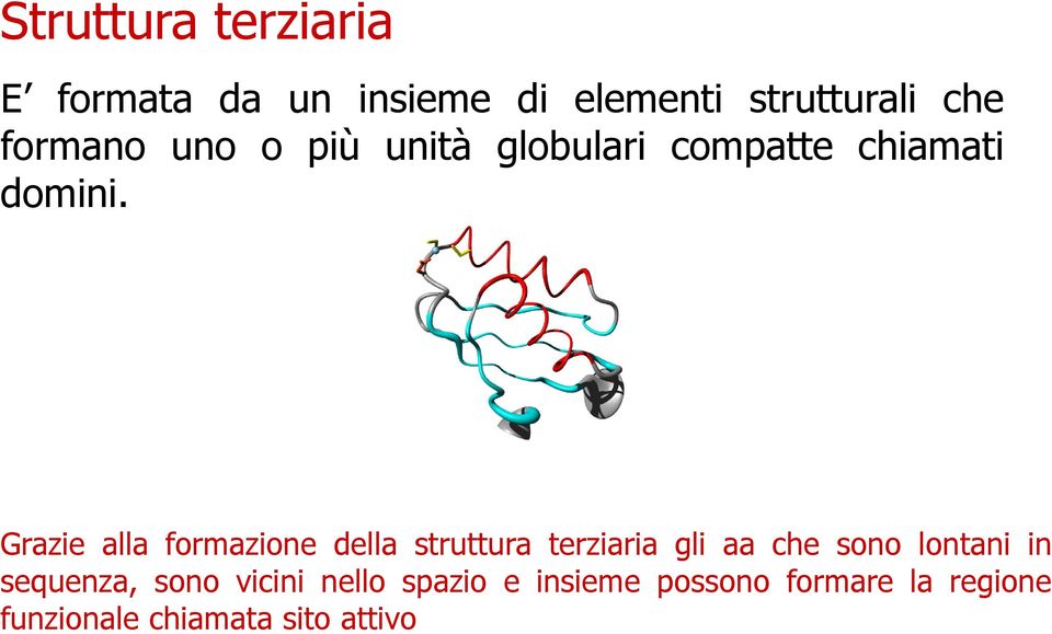 Grazie alla formazione della struttura terziaria gli aa che sono lontani in