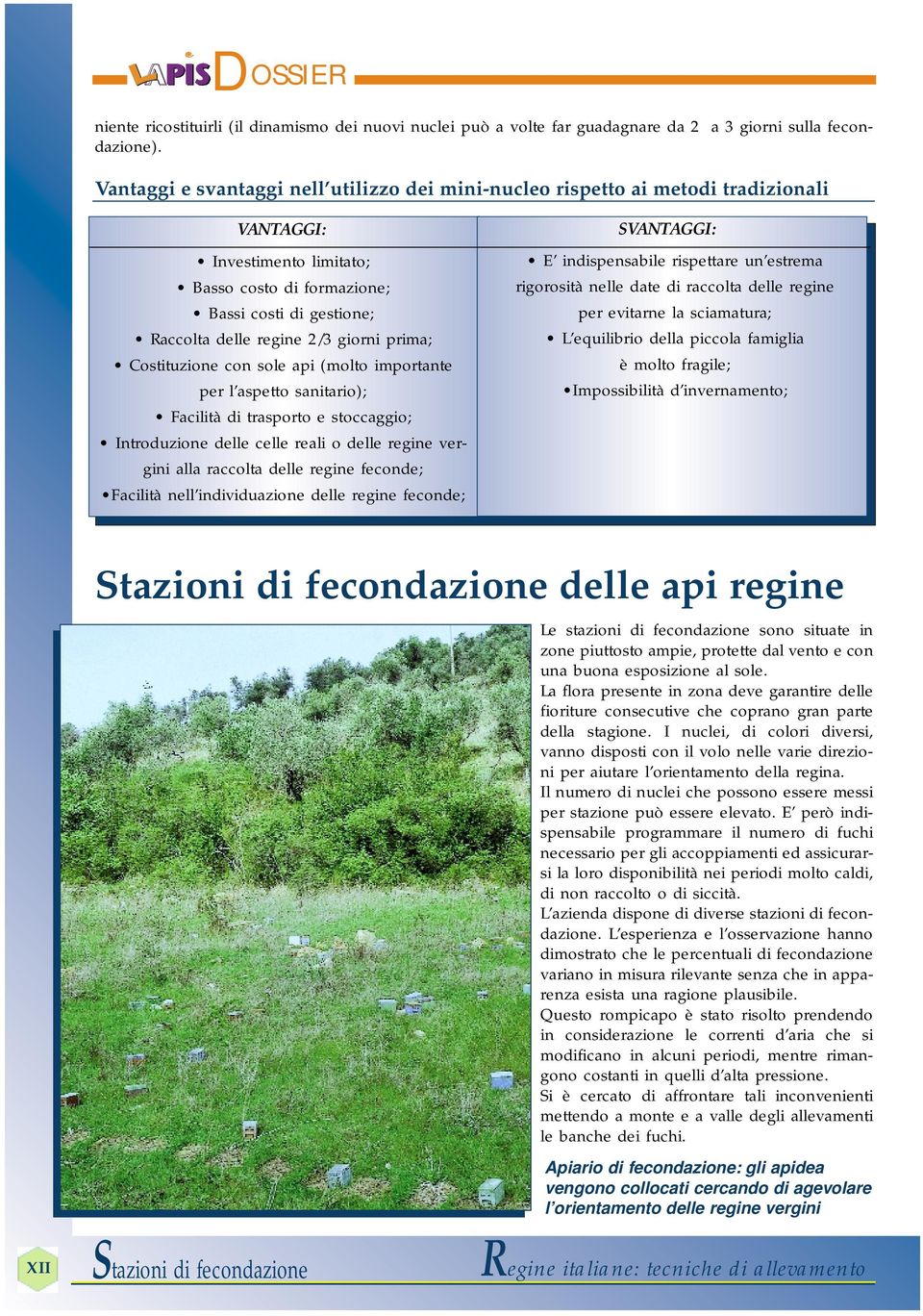 giorni prima; Costituzione con sole api (molto importante per l aspetto sanitario); Facilità di trasporto e stoccaggio; Introduzione delle celle reali o delle regine vergini alla raccolta delle