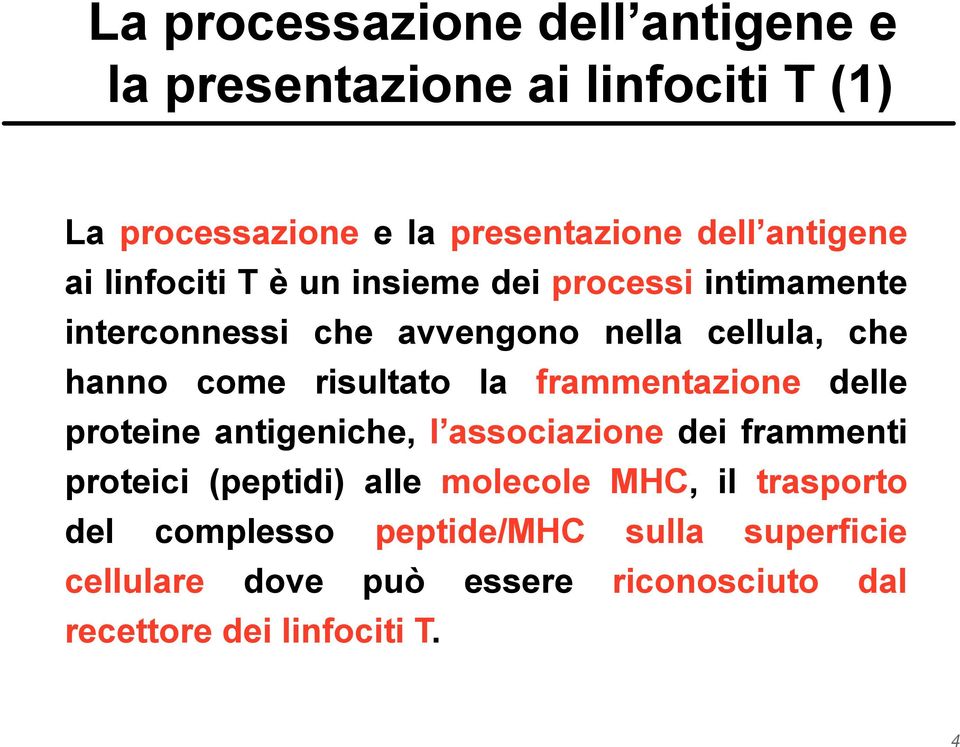 risultato la frammentazione delle proteine antigeniche, l associazione dei frammenti proteici (peptidi) alle molecole