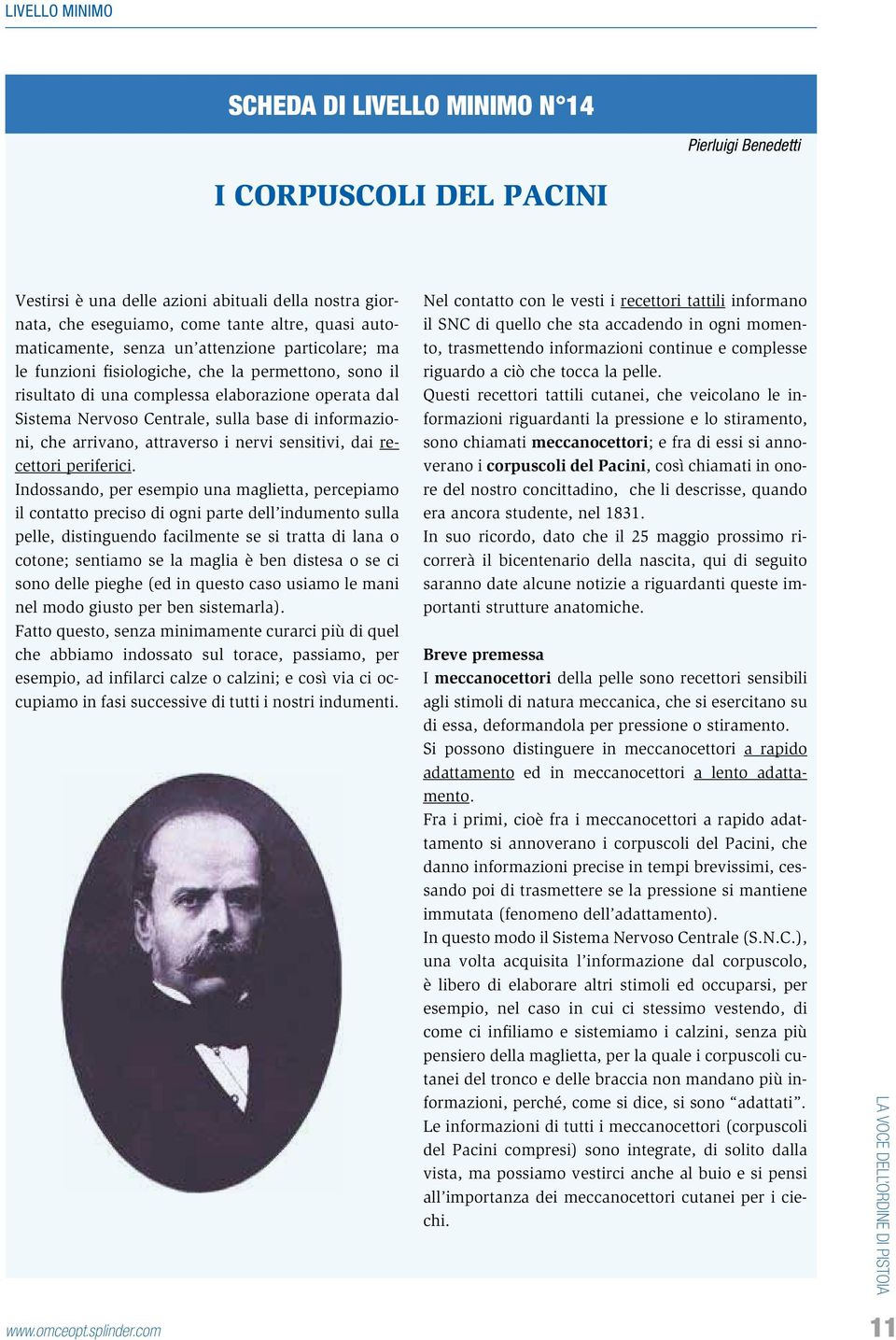 informazioni, che arrivano, attraverso i nervi sensitivi, dai recettori periferici.