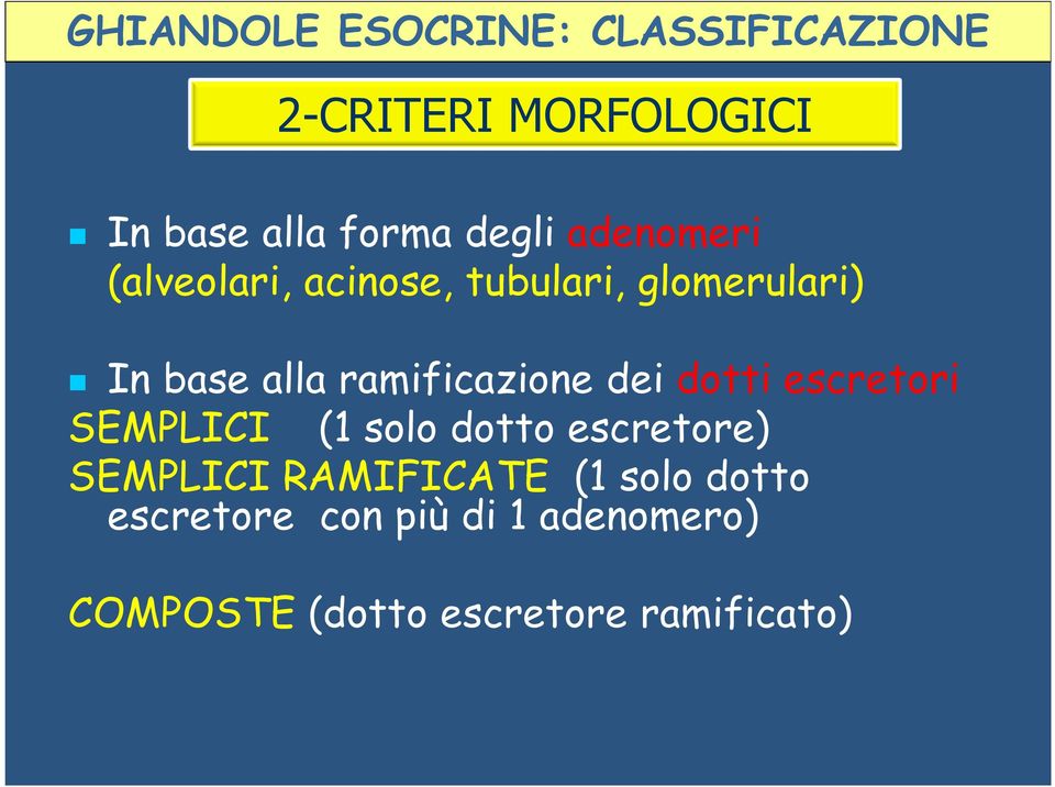 ramificazione dei dotti escretori SEMPLICI (1 solo dotto escretore) SEMPLICI