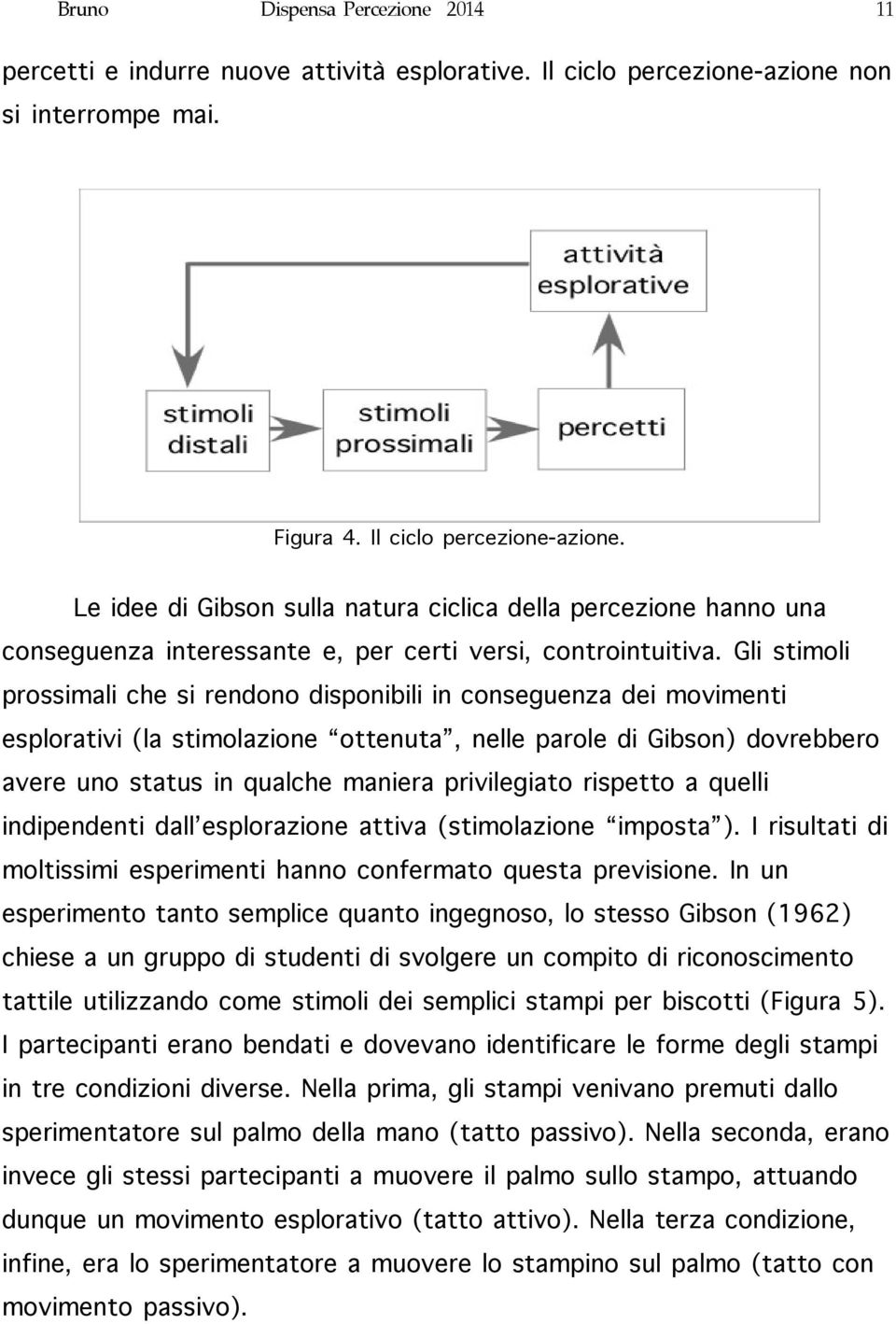 Gli stimoli prossimali che si rendono disponibili in conseguenza dei movimenti esplorativi (la stimolazione ottenuta, nelle parole di Gibson) dovrebbero avere uno status in qualche maniera