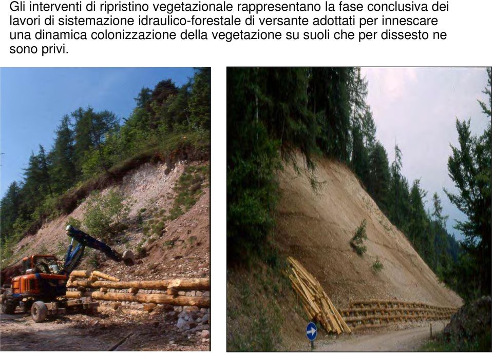 idraulico-forestale di versante adottati per innescare una