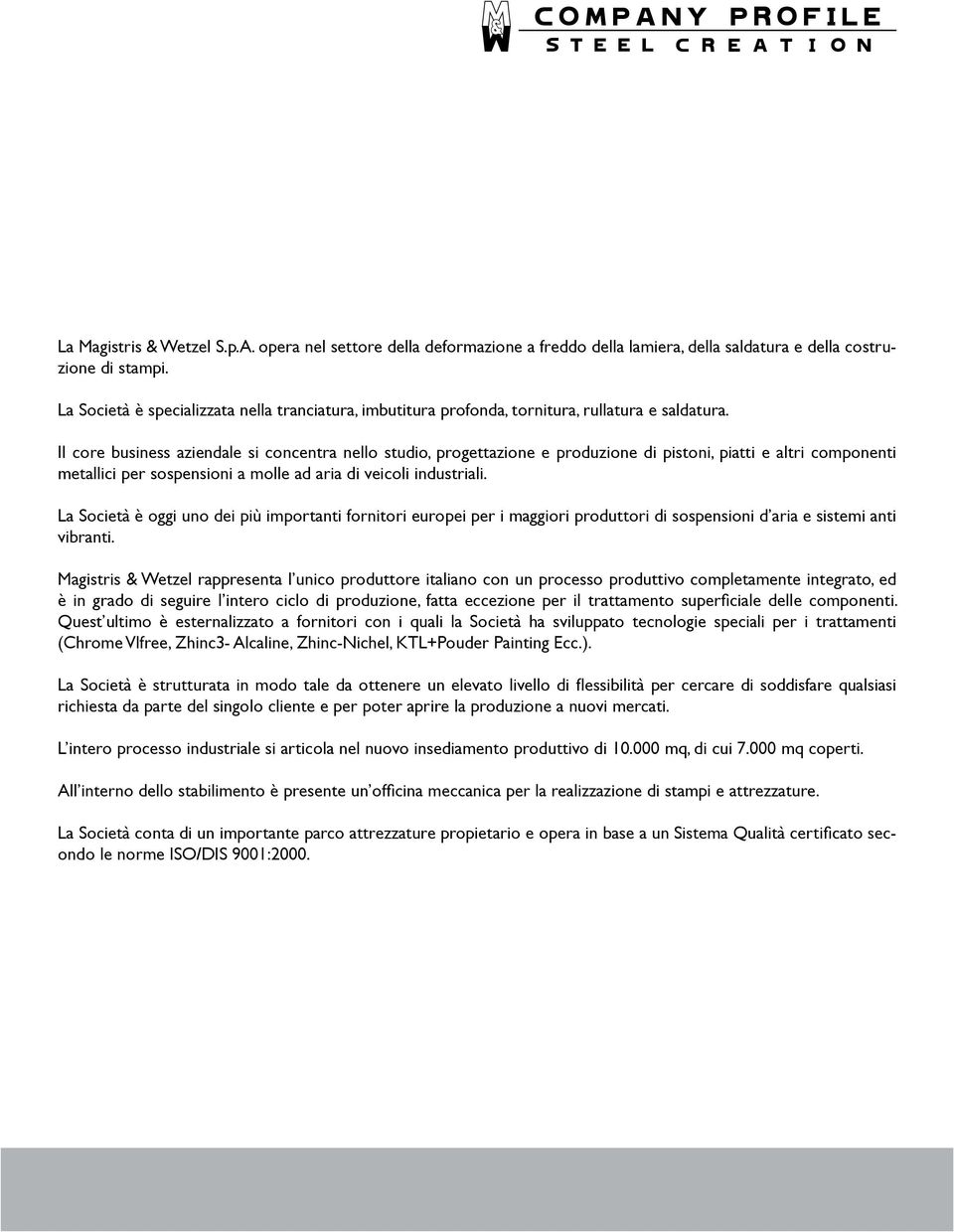 Il core business aziendale si concentra nello studio, progettazione e produzione di pistoni, piatti e altri componenti metallici per sospensioni a molle ad aria di veicoli industriali.