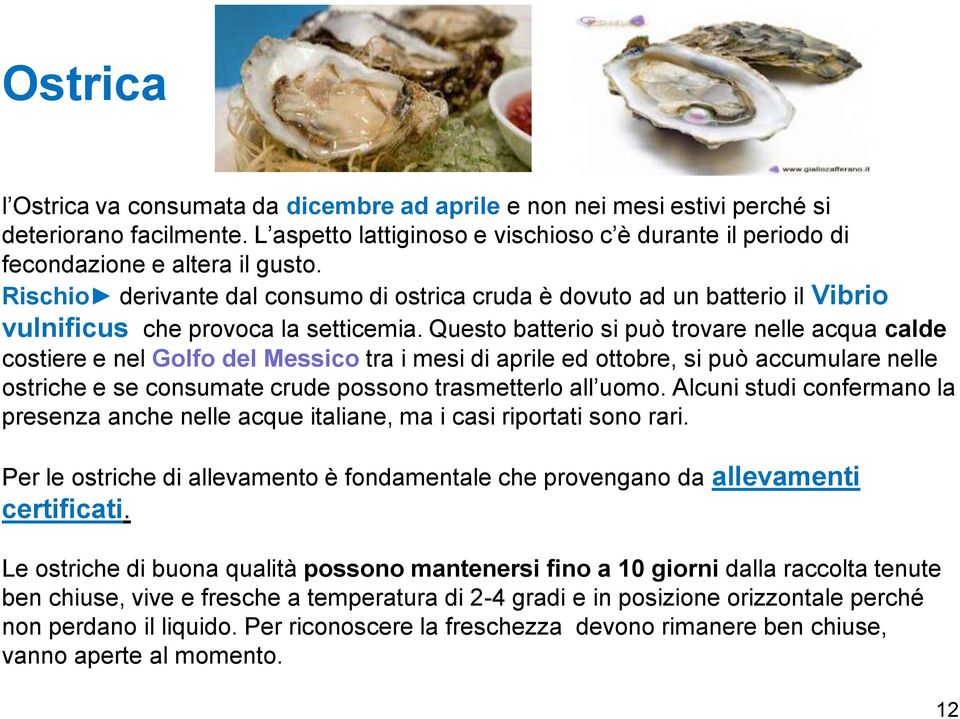 Questo batterio si può trovare nelle acqua calde costiere e nel Golfo del Messico tra i mesi di aprile ed ottobre, si può accumulare nelle ostriche e se consumate crude possono trasmetterlo all uomo.