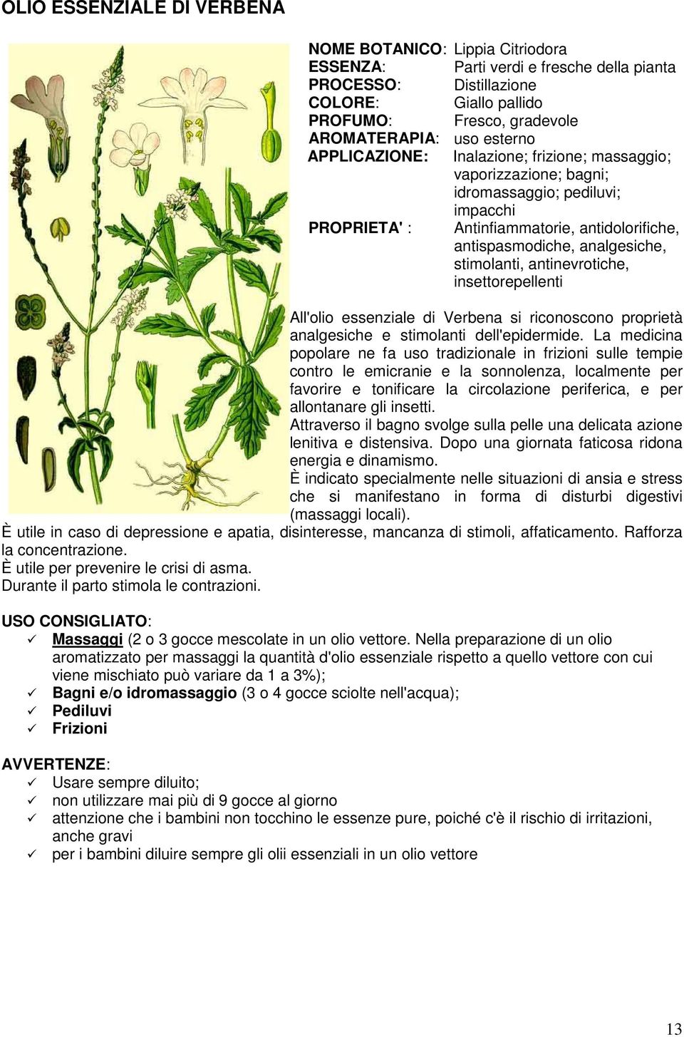 stimolanti, antinevrotiche, insettorepellenti All'olio essenziale di Verbena si riconoscono proprietà analgesiche e stimolanti dell'epidermide.