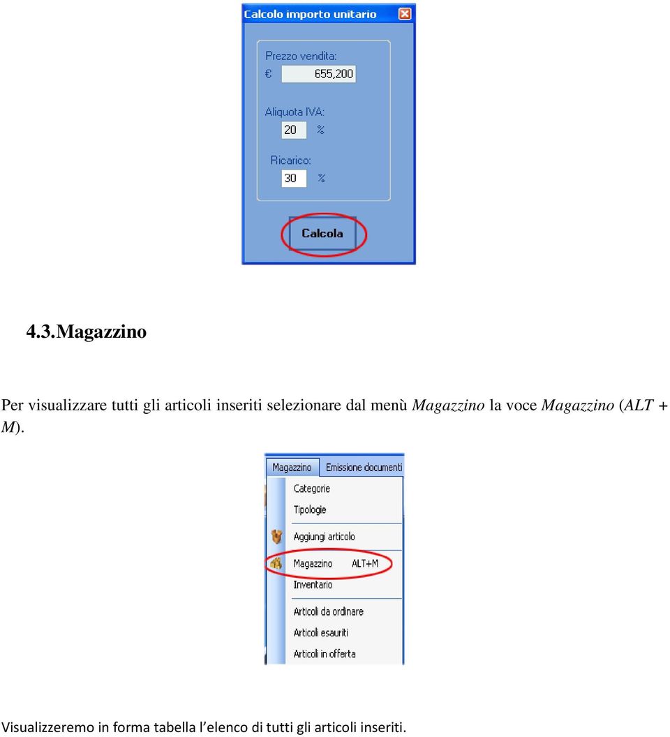 Magazzino la voce Magazzino (ALT + M).