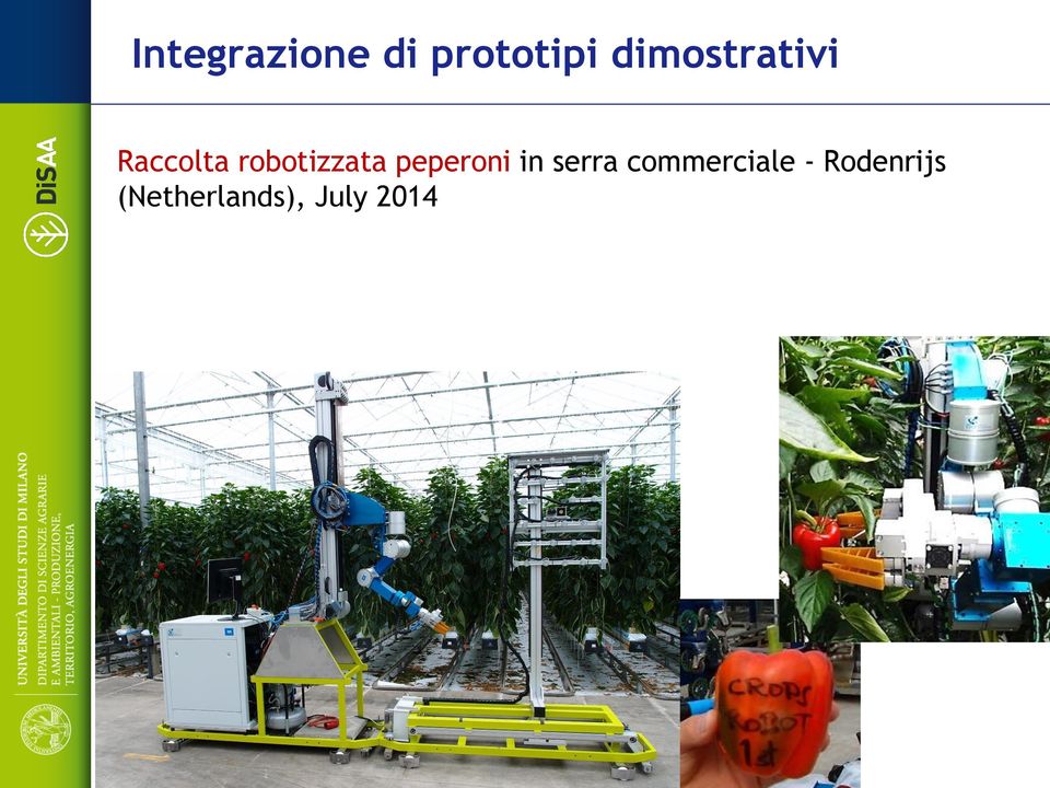 robotizzata peperoni in serra