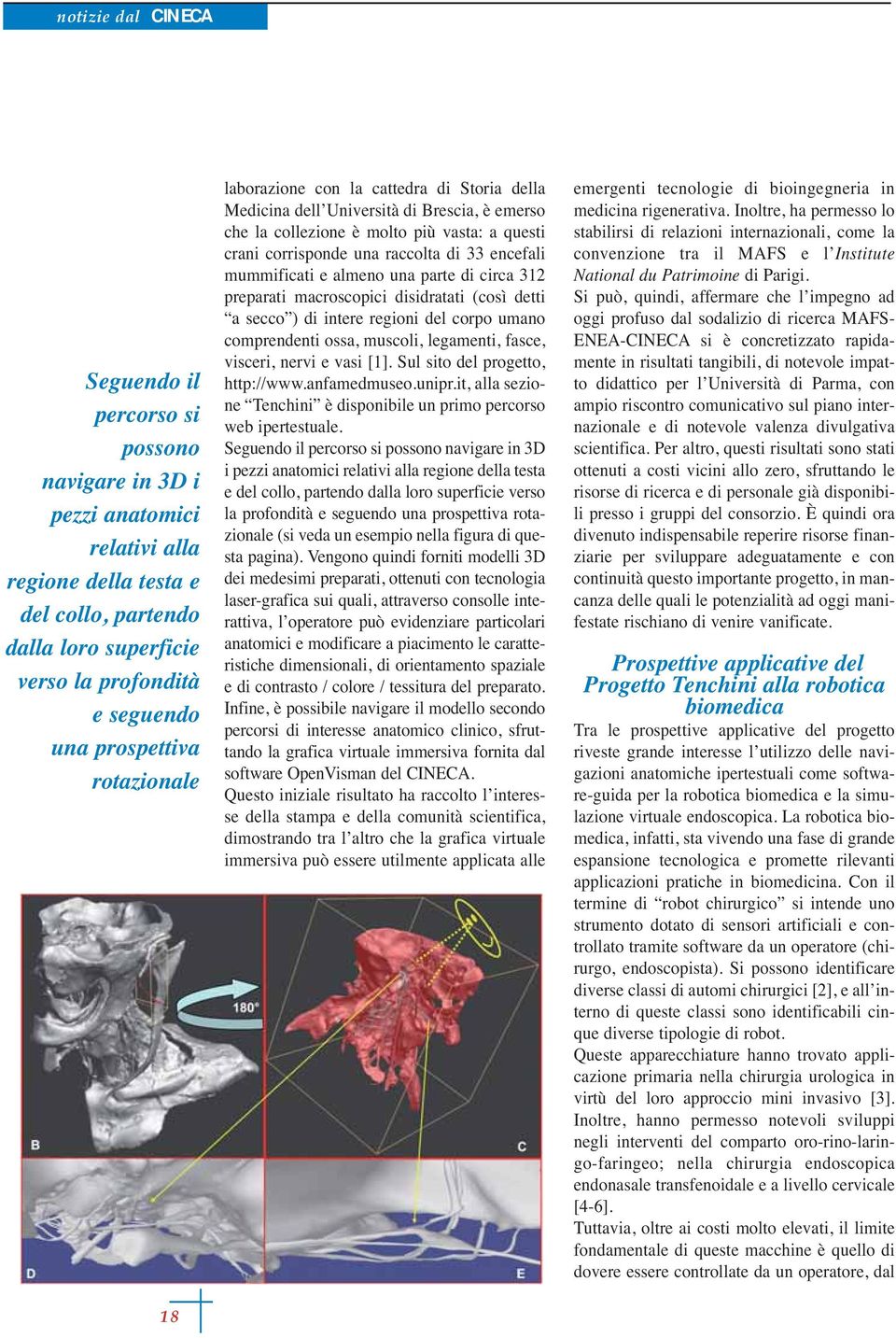 mummificati e almeno una parte di circa 312 preparati macroscopici disidratati (così detti a secco ) di intere regioni del corpo umano comprendenti ossa, muscoli, legamenti, fasce, visceri, nervi e