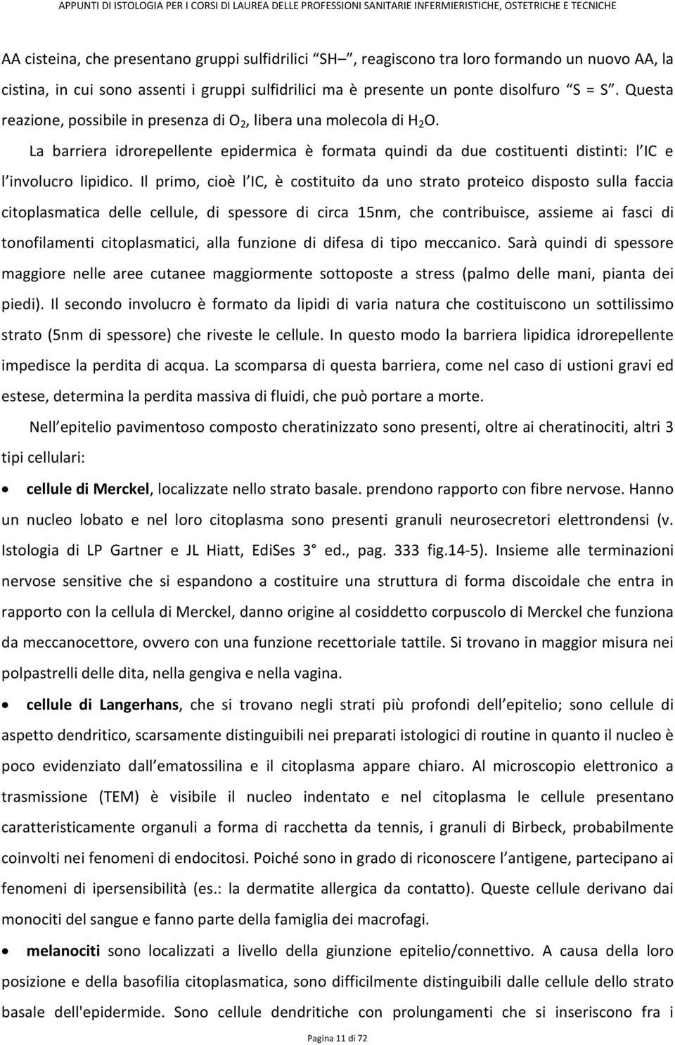 Il primo, cioè l IC, è costituito da uno strato proteico disposto sulla faccia citoplasmatica delle cellule, di spessore di circa 15nm, che contribuisce, assieme ai fasci di tonofilamenti