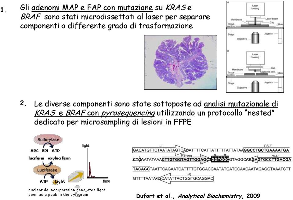 Le diverse componenti sono state sottoposte ad analisi mutazionale di KRAS e BRAF con