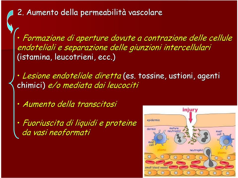 ecc.) Lesione endoteliale diretta (es.