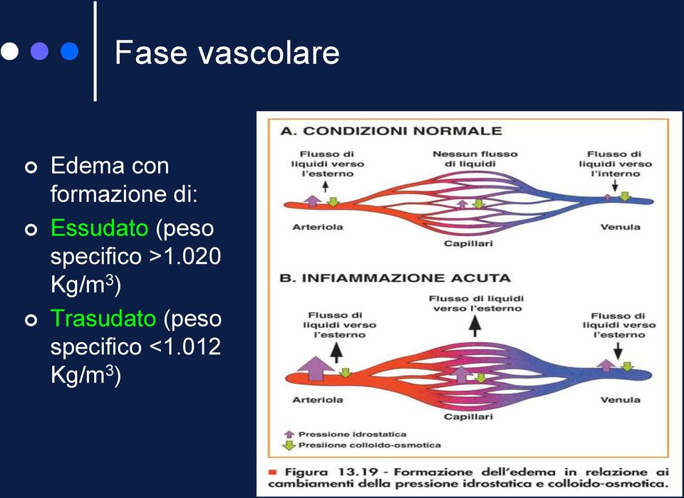 specifico >1.