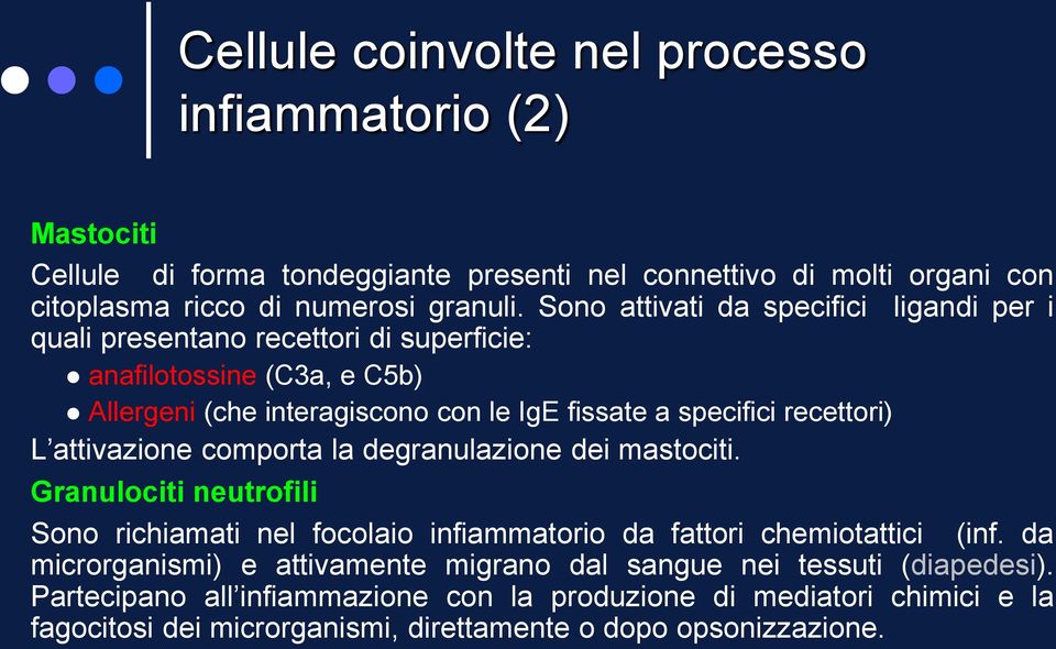 recettori) L attivazione comporta la degranulazione dei mastociti. Granulociti neutrofili Sono richiamati nel focolaio infiammatorio da fattori chemiotattici (inf.