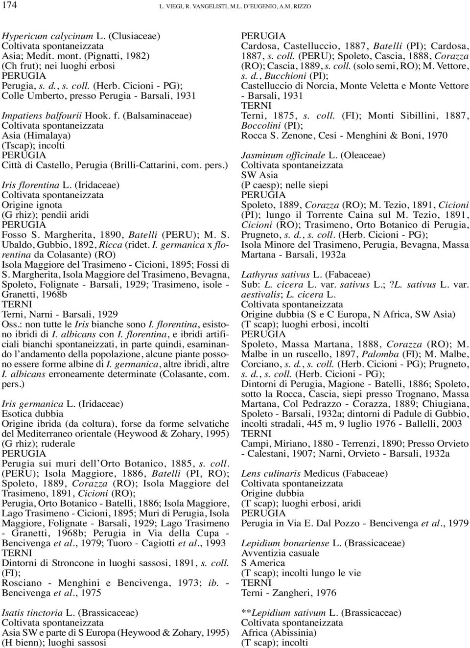 ) Iris florentina L. (Iridaceae) Origine ignota (G rhiz); pendii aridi Fosso S. Margherita, 1890, Batelli (PERU); M. S. Ubaldo, Gubbio, 1892, Ricca (ridet. I. germanica x florentina da Colasante) (RO) Isola Maggiore del Trasimeno - Cicioni, 1895; Fossi di S.