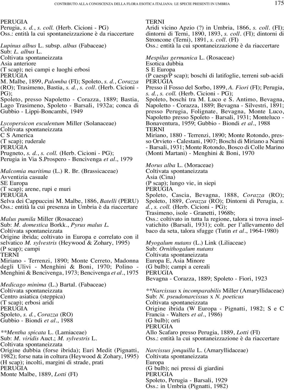 Malbe, 1899, Palomba (FI); Spoleto, s. d., Corazza (RO); Trasimeno, Bastia, s. d., s. coll. (Herb.