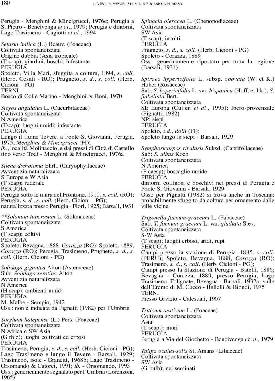 Cesati - RO); Prugneto, s. d., s. coll. (Herb. Cicioni - PG) Bosco di Colle Marino - Menghini & Boni, 1970 Sicyos angulatus L.