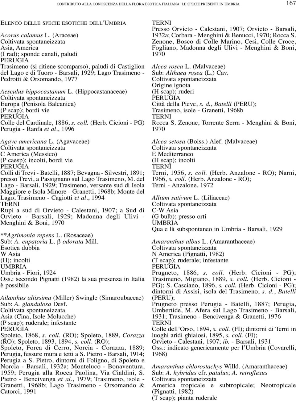 hippocastanum L. (Hippocastanaceae) Europa (Penisola Balcanica) (P scap); bordi vie Colle del Cardinale, 1886, s. coll. (Herb. Cicioni - PG) Perugia - Ranfa et al., 1996 Agave americana L.