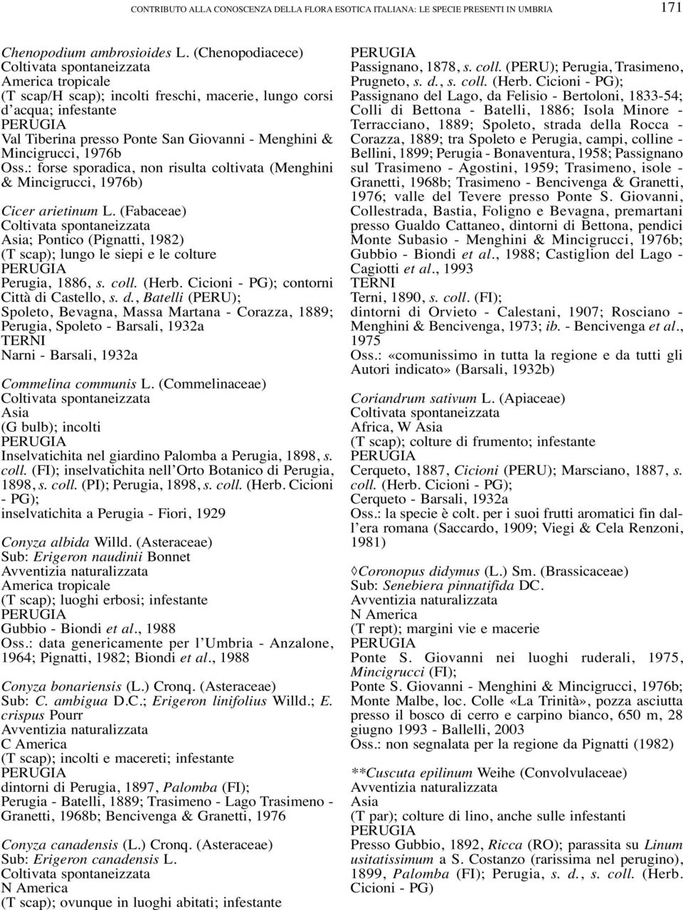 : forse sporadica, non risulta coltivata (Menghini & Mincigrucci, 1976b) Cicer arietinum L. (Fabaceae) Asia; Pontico (Pignatti, 1982) (T scap); lungo le siepi e le colture Perugia, 1886, s. coll.