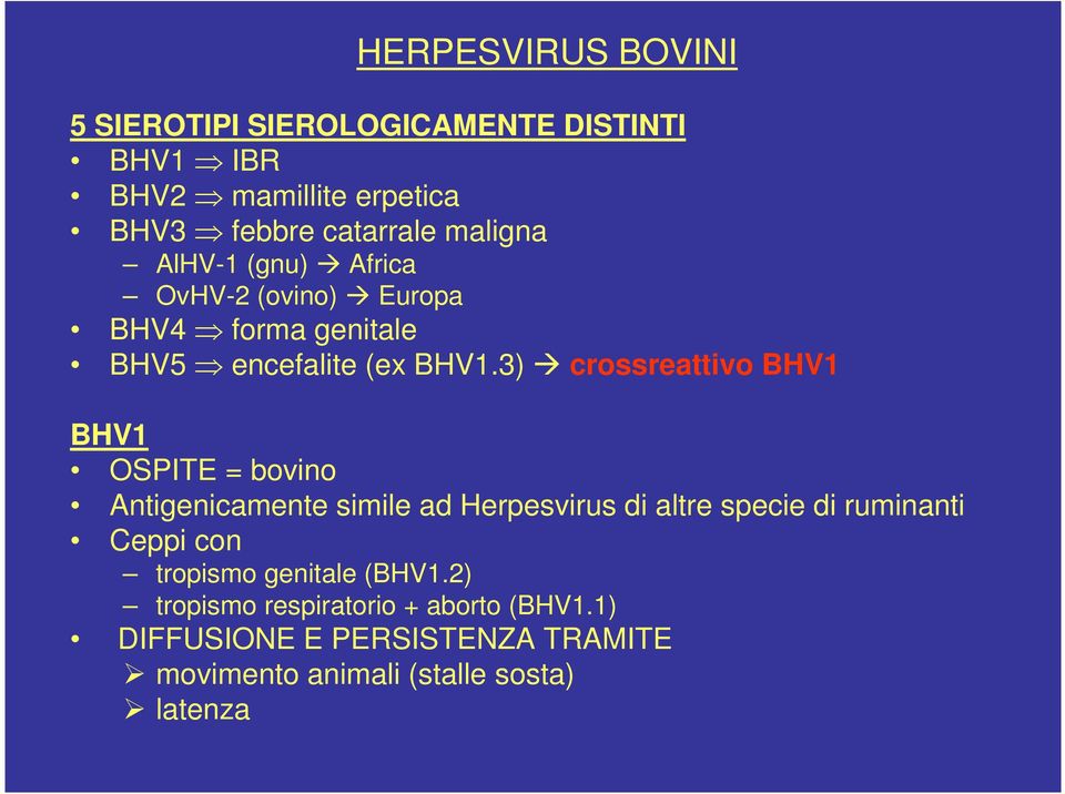 3) crossreattivo BHV1 BHV1 OSPITE = bovino Antigenicamente simile ad Herpesvirus di altre specie di ruminanti Ceppi