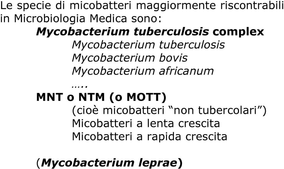 Mycobacterium africanum.